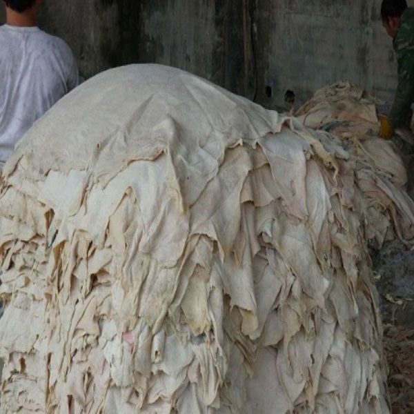 Sheep Pickled, production, sale, purchase price, export
