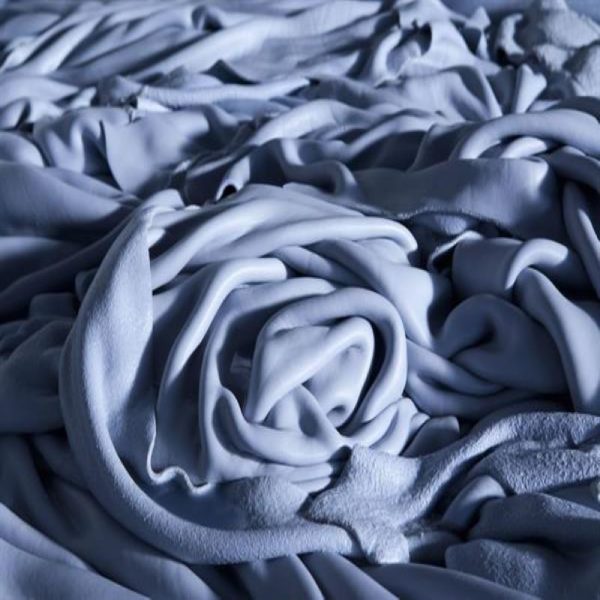 Cow Wet Blue production, buying, selling, export price