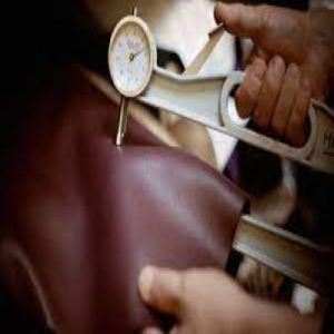 درجه بندی و رتبه بندی کیفیت چرم