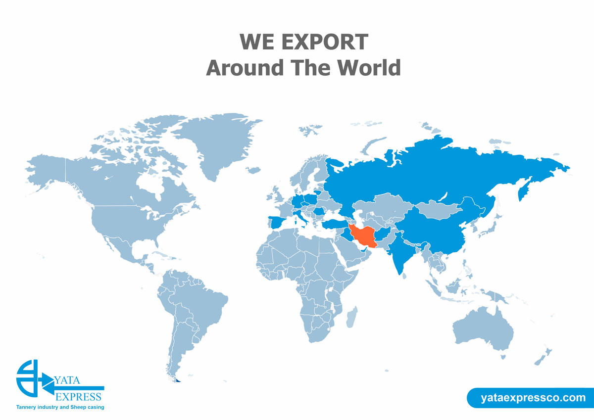 صادرات وت بلو کراست روده گوسفندی